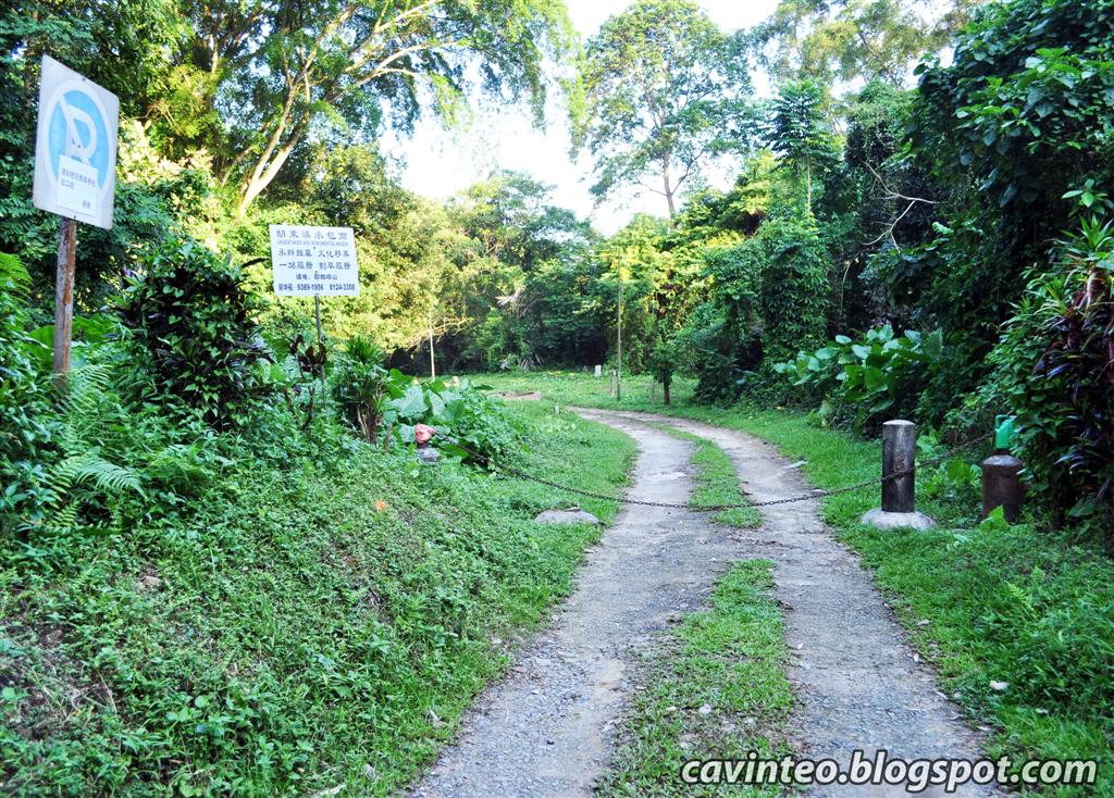 Entree Kibbles A Short Walk in Mount Pleasant Cemetery [Along Mount
